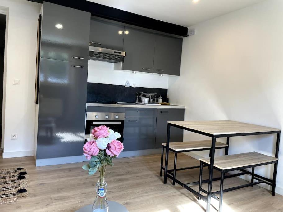Villa Gaby~ 2 Pers ~ Hypercentre Pau Zewnętrze zdjęcie