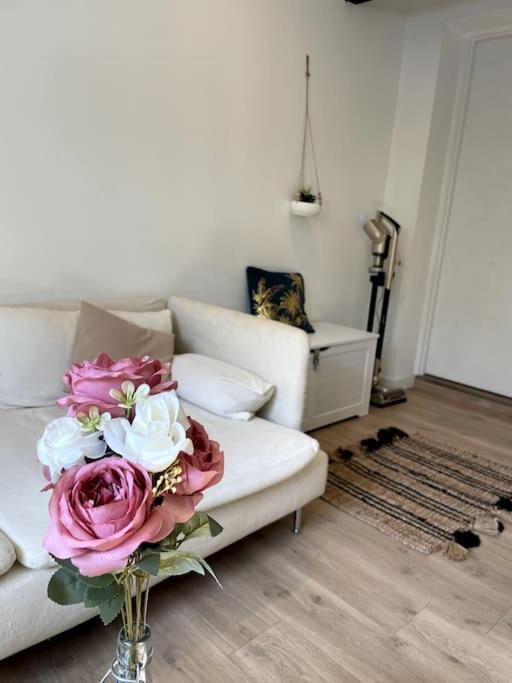 Villa Gaby~ 2 Pers ~ Hypercentre Pau Zewnętrze zdjęcie